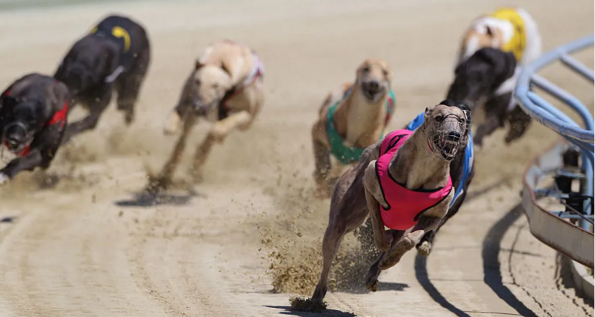 los-mejores-casinos-en-orlando