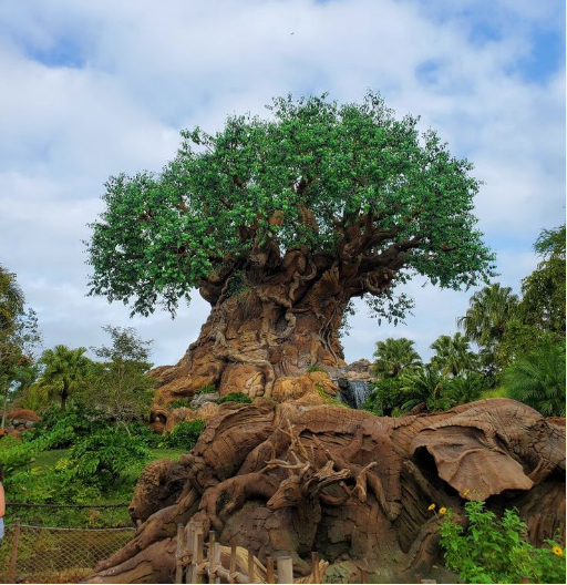 parque-tematico-disney-animal-kingdom
