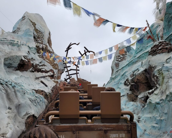 parque-tematico-disney-animal-kingdom